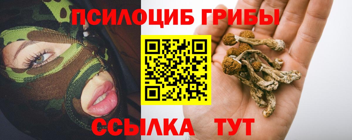 Галлюциногенные грибы мухоморы Протвино