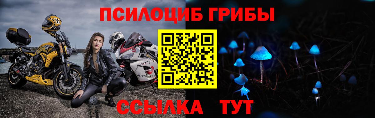 Протвино  Галлюциногенные грибы Psilocybine cubensis  Вход с VPN 